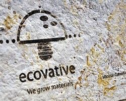 Eben Bayer of Ecovative: Biology at Work